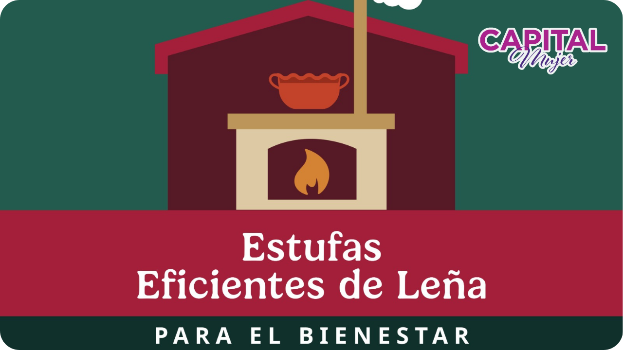 Arranca Programa de Estufas Eficientes de Leña para el Bienestar